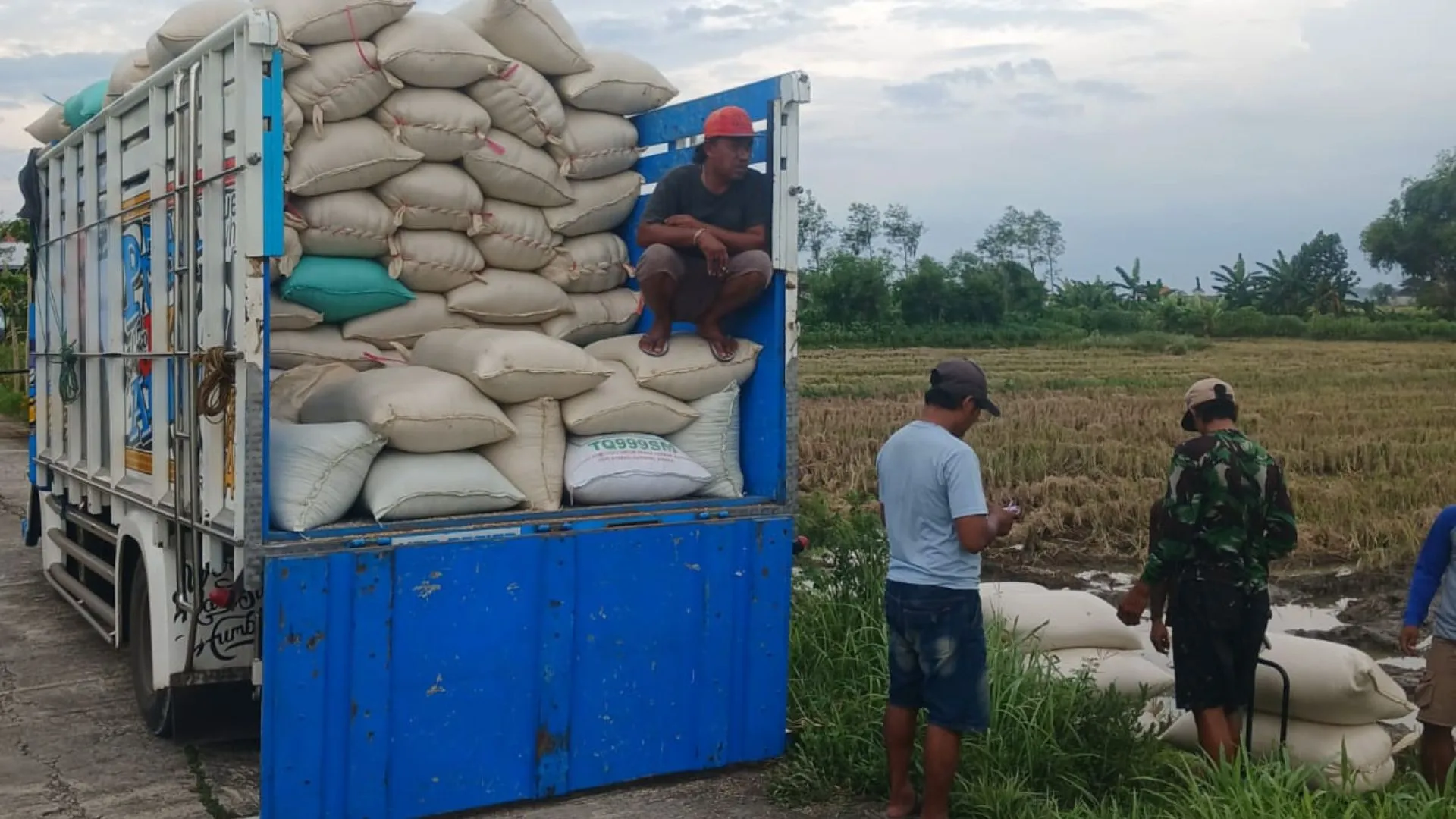 Sawah Desa